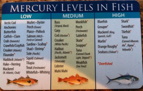 low mercury fish
